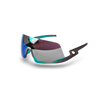 Titanium Frame - Green Mirror Lens